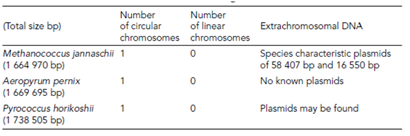 541_Chromosomal structures  of Archaeal genomes.png